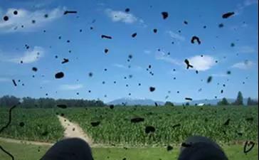 關(guān)注眼健康，了解飛蚊癥！