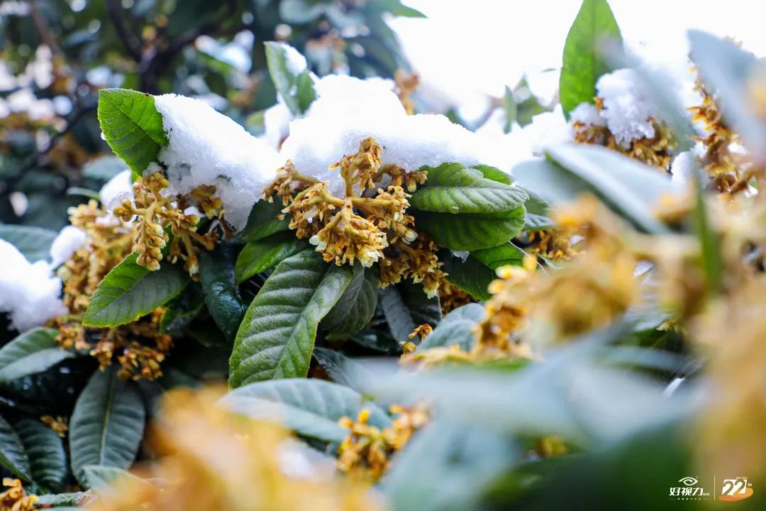 一場(chǎng)初雪，好視力眼貼一直守護(hù)