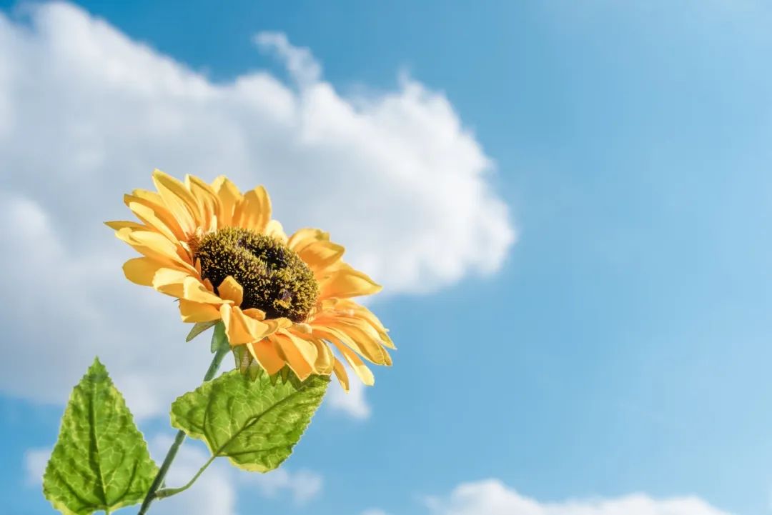 炎炎夏日，牢記這四點(diǎn)，讓眼睛更健康