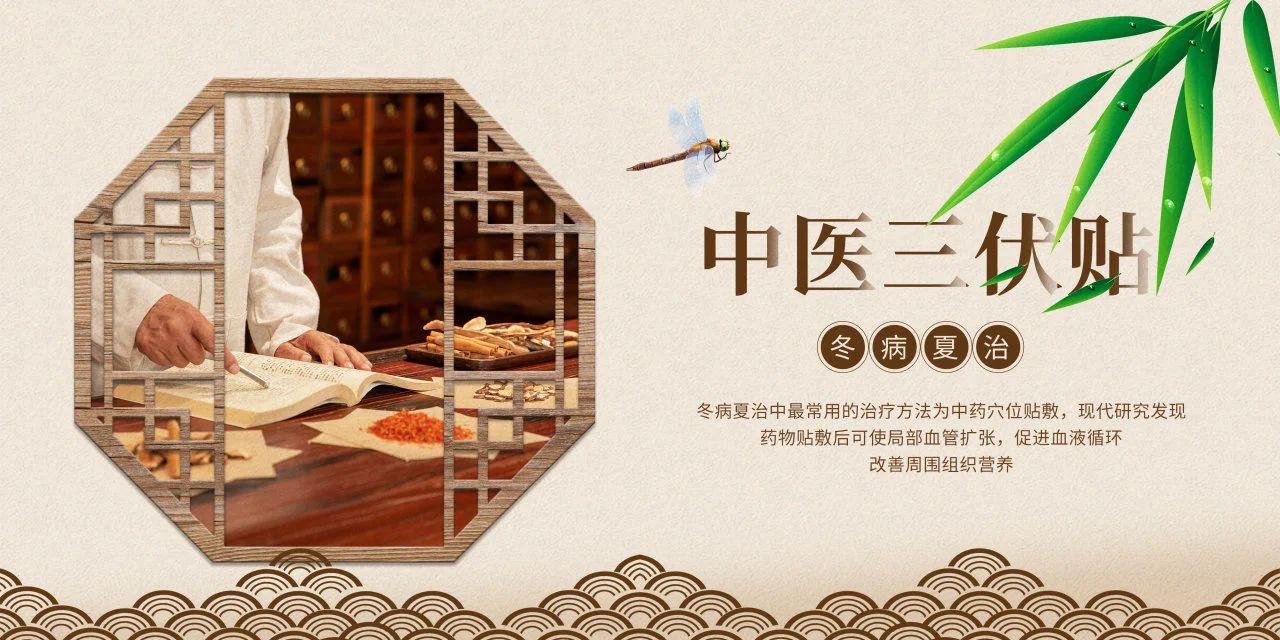 眼睛也需要“三伏貼”？